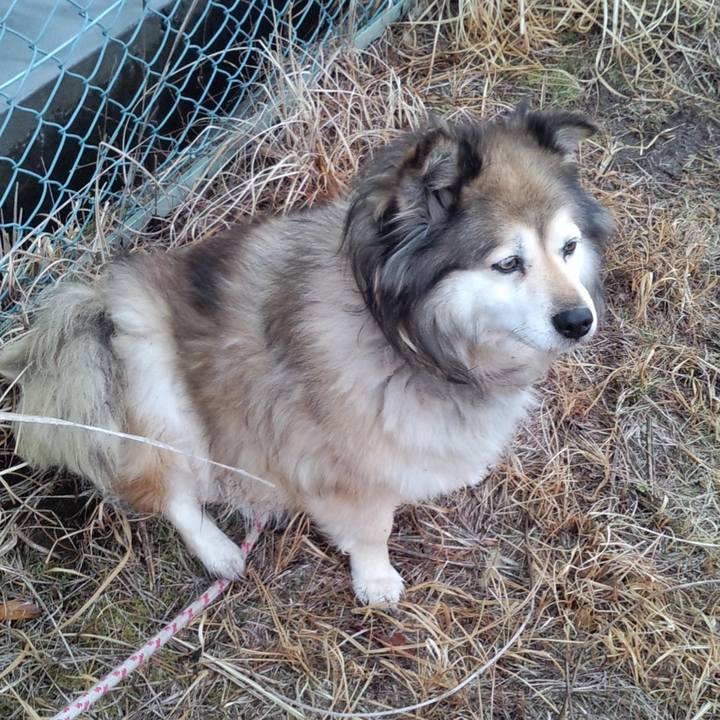 58d90891 b8db 46e4 a22e 4bb5580fdbe0 1667581468963