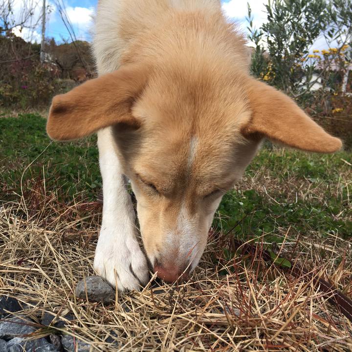 58d929eb fa26 4901 abac 98459f593926 1511054116608