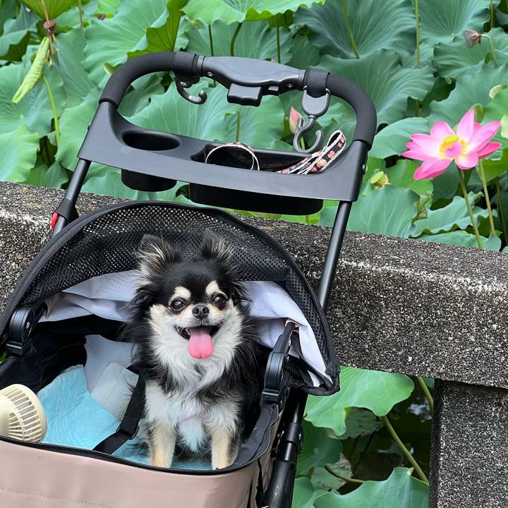 58d935f9 9b7a 468d b233 2add682a5b48 1693799085185