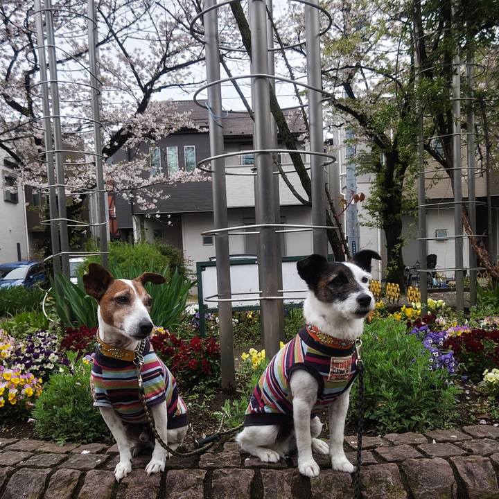 58d94164 c2fb 4e89 ad8b 6998d4a0586d 1775345753104