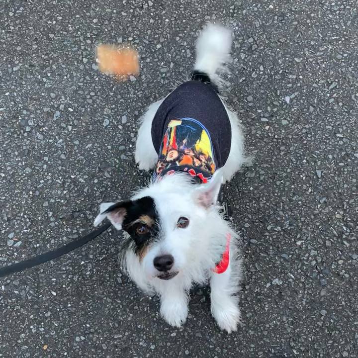 58d9554c 4dde 47ed 997c e2578d263bfc 1665390240767