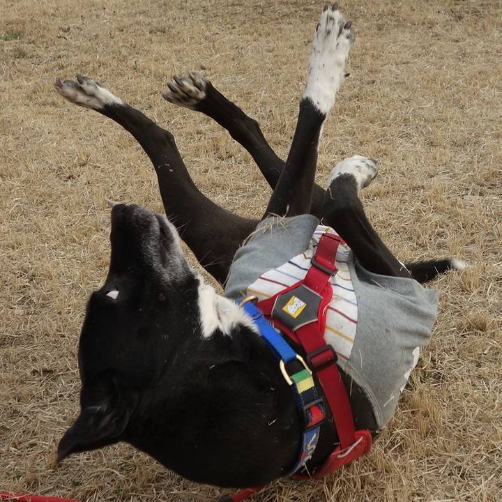 58d9598b e220 4b57 bc25 3d0fec874f85 1678022970585