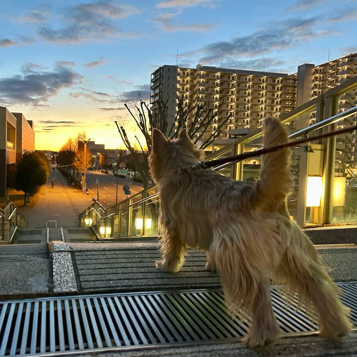 58d98525 b96e 46e3 bb94 defee4abfda7 1737021731105