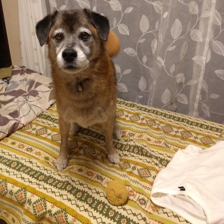 58d98e3f 281c 40ee bf16 e7feeacb9840 1572181455492