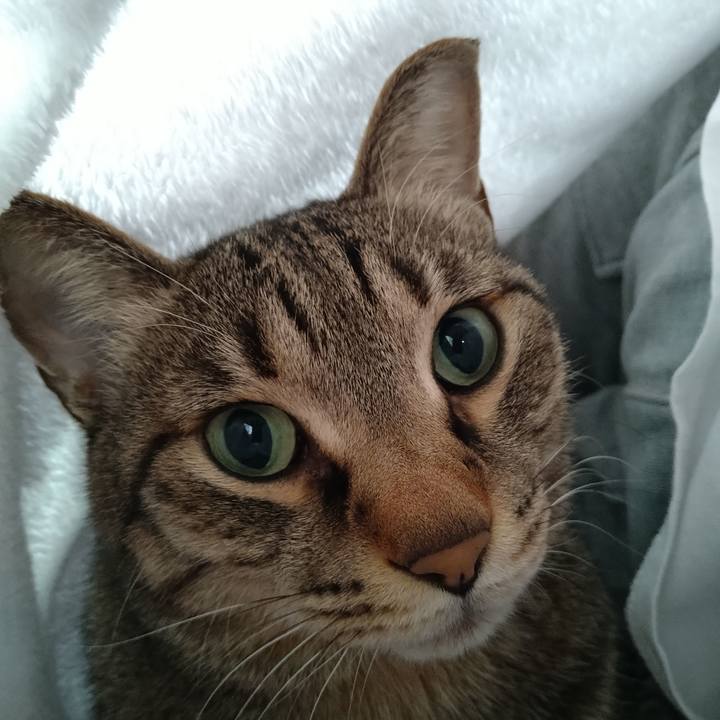 58d9abff 5a97 42ad 86ed bd2acfef1e78 1708134435309