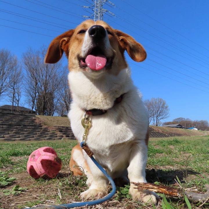 58d9e6be f61c 4f7c 9353 77af1c0472d0 1616634522188