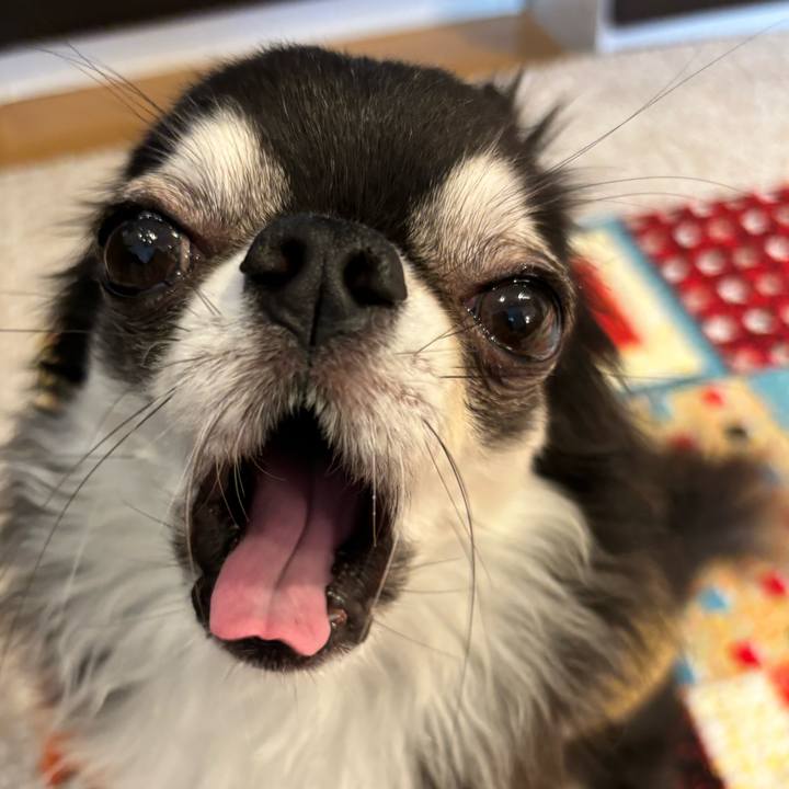 58da0289 5cfc 458b 9aee eeaf3575cb25 1724601608379