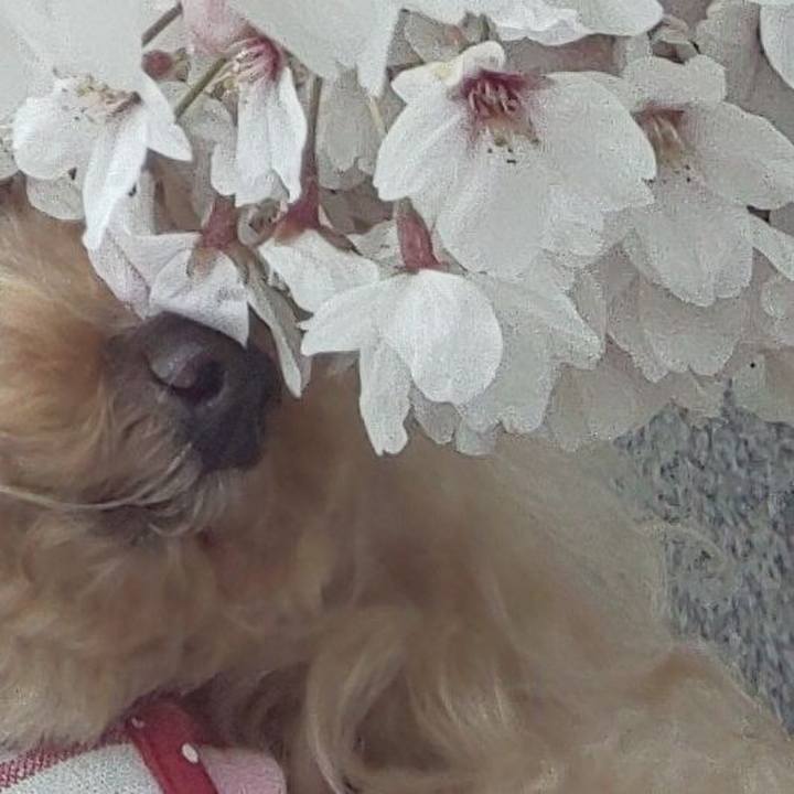 58da1cb7 700d 40d4 9df8 7c896103636a 1586607032963