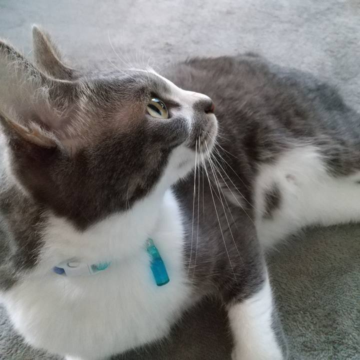 58da2fbb 88dd 4b26 87e3 7350888bd9c8 1618784983296