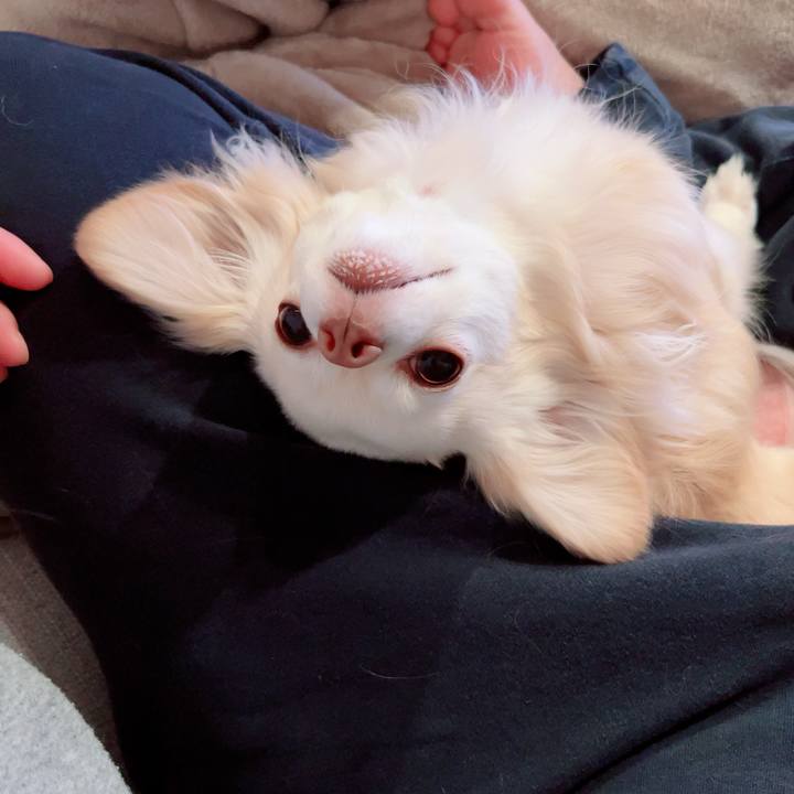 58da68b3 0e40 49cf 9ac6 230767dc1b61 1712893448857