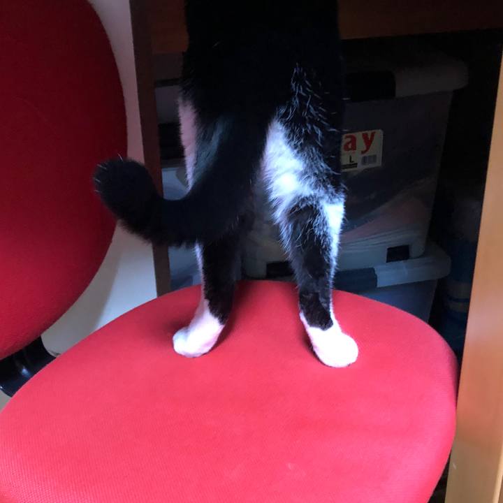 58daa130 3011 4aea 8cb8 e312d1a6e6c1 1547028919534