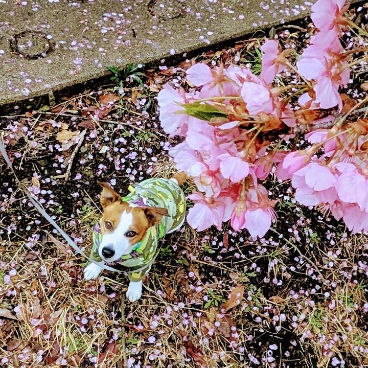 58daa2ff 7325 4f29 a528 0f55b8957525 1772199623277