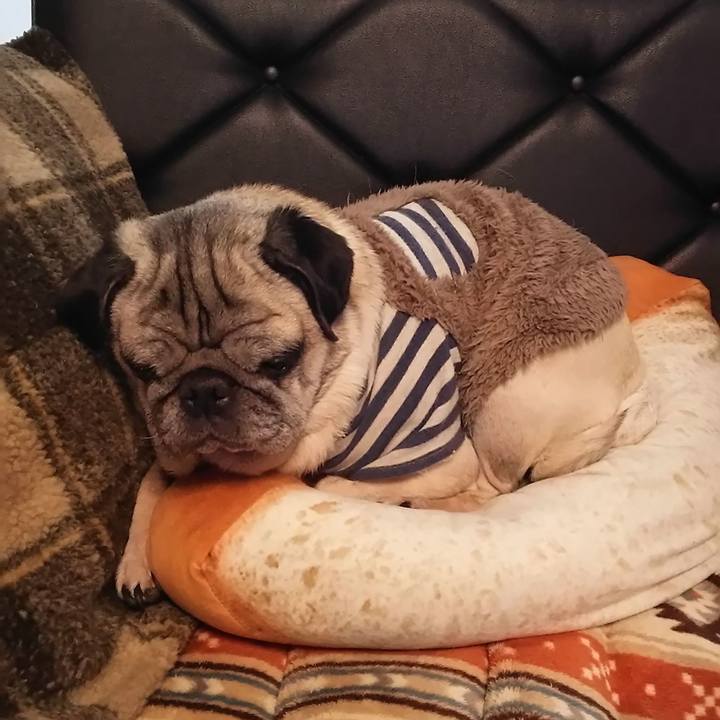 58daab58 8aa8 4bdf ae62 fac373b0d64b 1576264994702