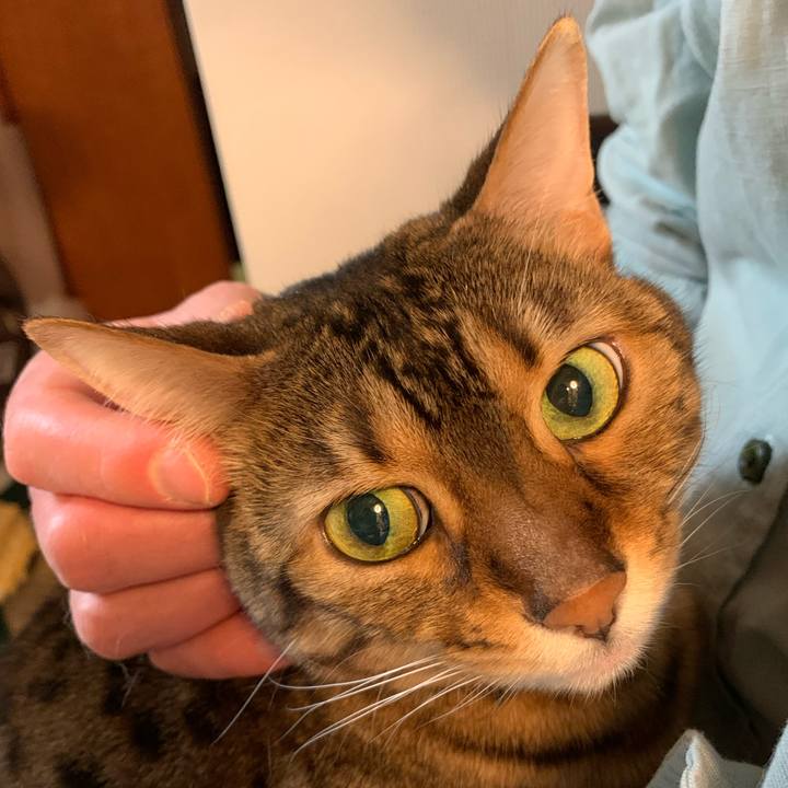 58dab4ad 29c6 4658 b94d 0dfffe074110 1590961949720