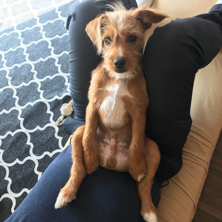 58dabda2 7de6 4563 8a60 ec7c2dee8050 1522192251006