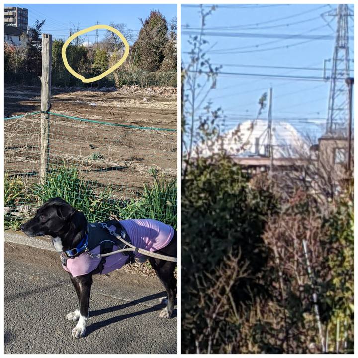 58dabed6 aab1 45e7 885d fd1f984b0673 1645752593798