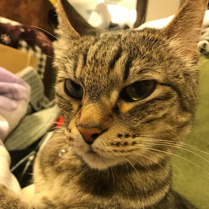 58dac07f 459e 41fe a78a 347a270f4b76 1565768697125