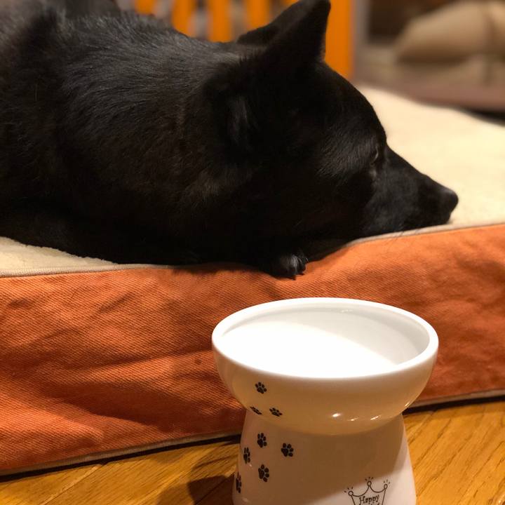 58daccfa 34fa 43f5 b3c6 b41a06ce1a49 1550188678049