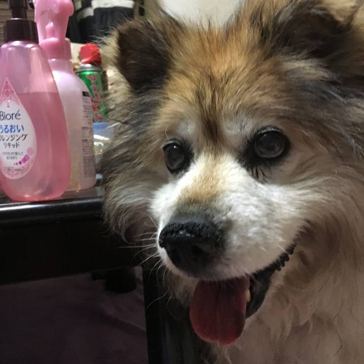 58dae028 1aa3 4124 aecc f19c26ebfbdb 1600632763382