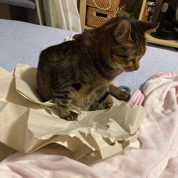 58dafae6 c40f 496d ab92 36f68d377fb5 1654434684436