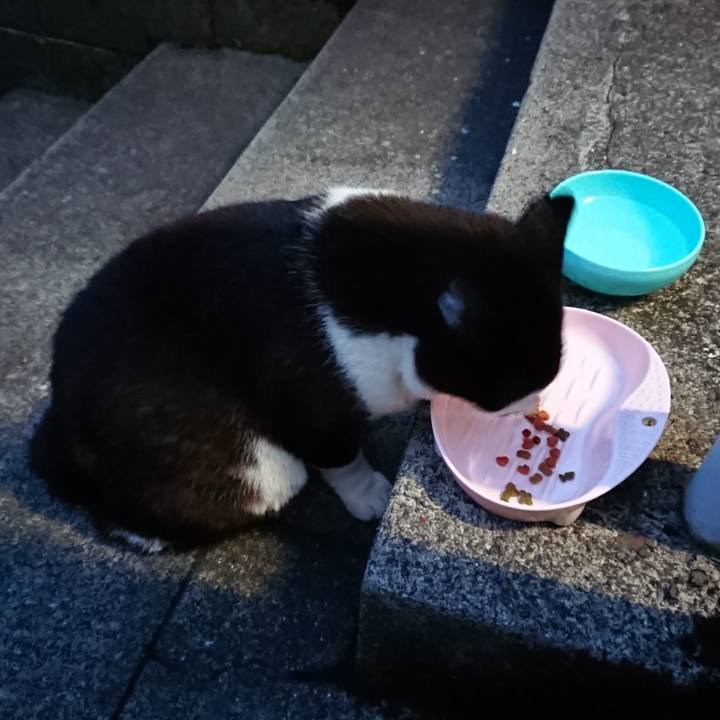 58db2ac6 a7d3 4ca2 ba0e 88bbed9ab287 1656155559765