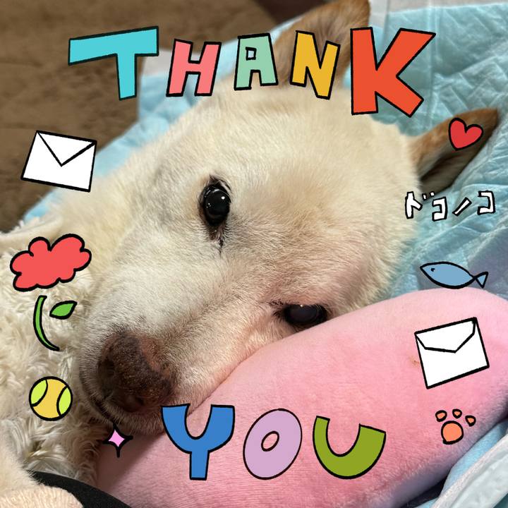 58db2c1d 2bd7 4a22 90d4 53f00d0fa6a2 1715006747044