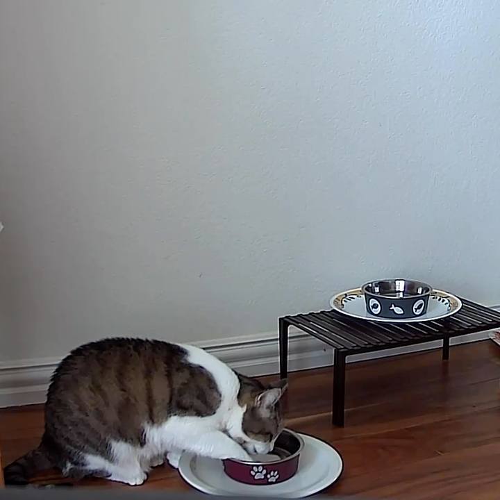 58db390f 269b 4b7a 9764 ceefc8215406 1743910704675