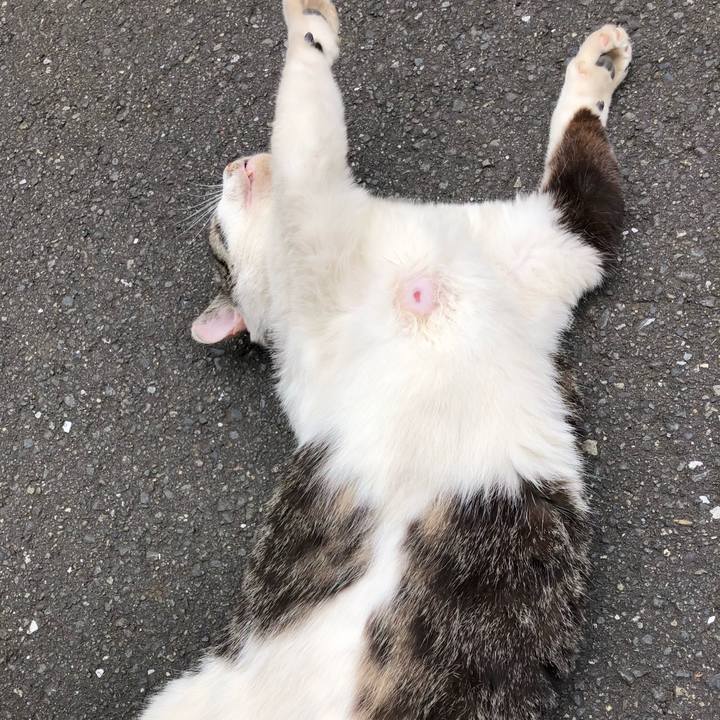 58db5b9b bd5f 4ea4 8728 bff5c6e2b73b 1591425500727