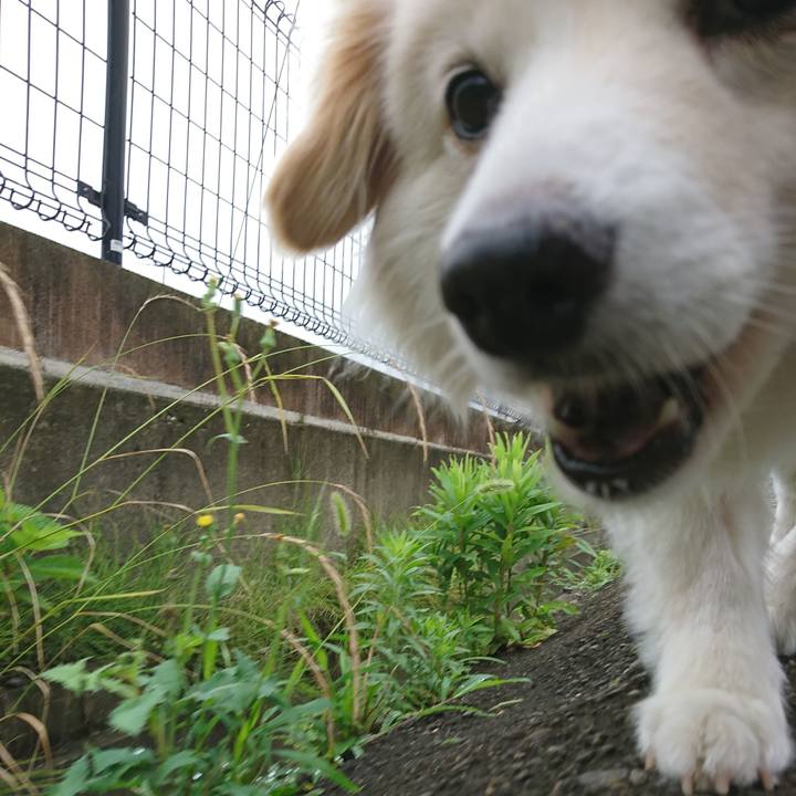 58dbc1db e52f 4234 95b6 f3de8267ea9e 1530998753376