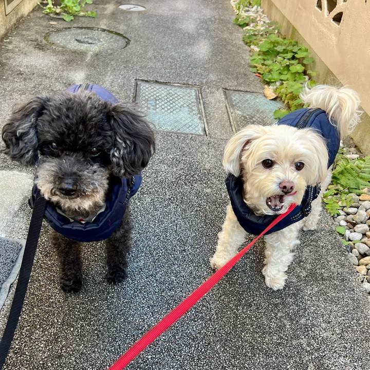 58dbdd3e 0cd3 4260 9a50 55a7a0eceef2 1765104358166