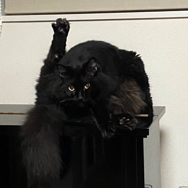 58dbf541 d3a9 490b 87f7 45fab12cb38b 1630450511572