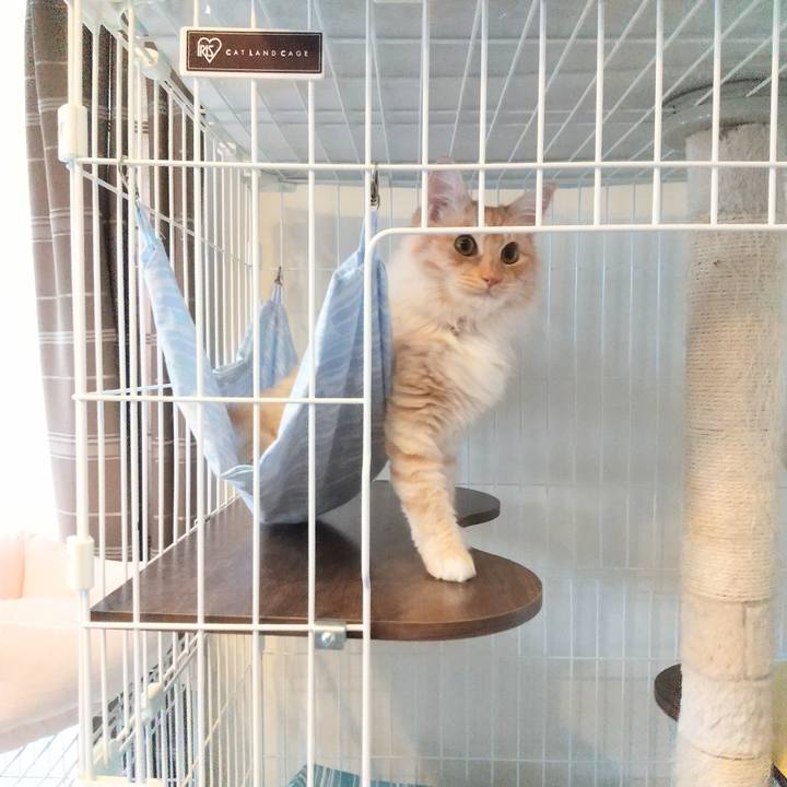 58dbf683 7873 4af4 b710 d3974edf7010 1622078096958