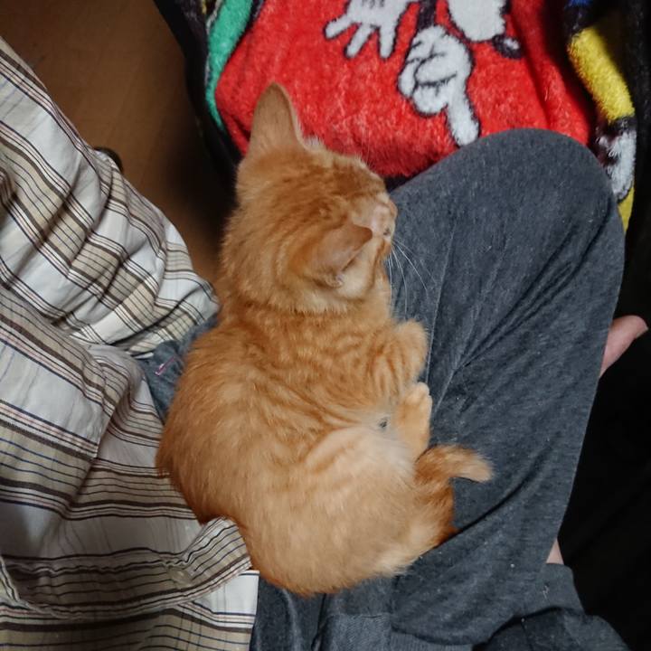 58dc2332 8773 42c0 a69a 824162a582cc 1631564985824