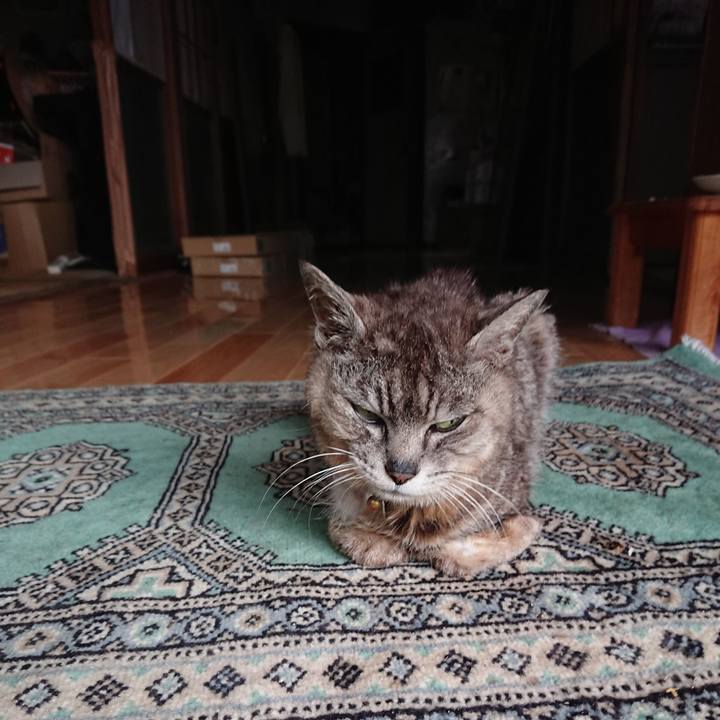 58dc488f 0218 4d5d 9ead e021dca2b652 1597187459786