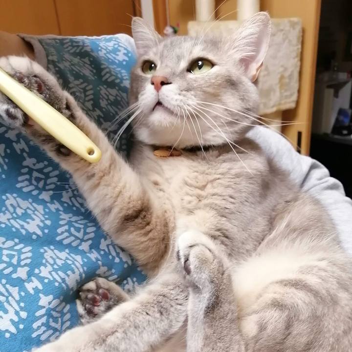 58dc68f2 c8e6 4b98 b655 7577177d1b8e 1587304673277