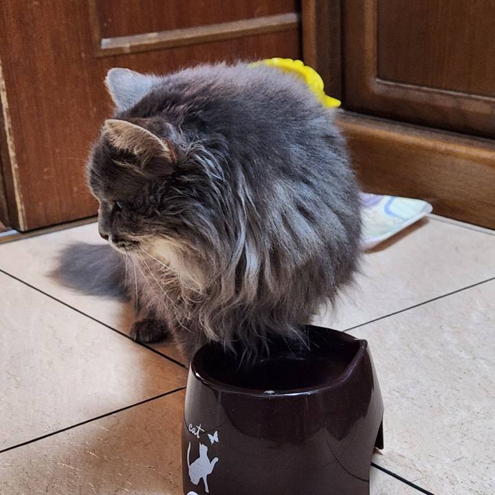 58dc9200 db6a 4ba8 8be2 17877c0f970c 1762688361886