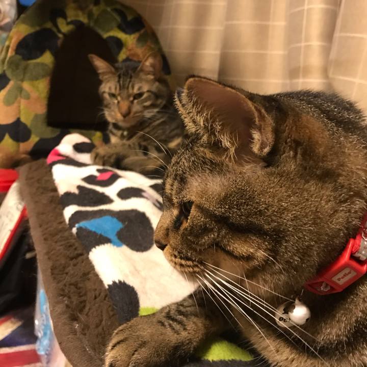 58dcb4d5 7516 4e1b a61b 4494a195ca1e 1540909236787