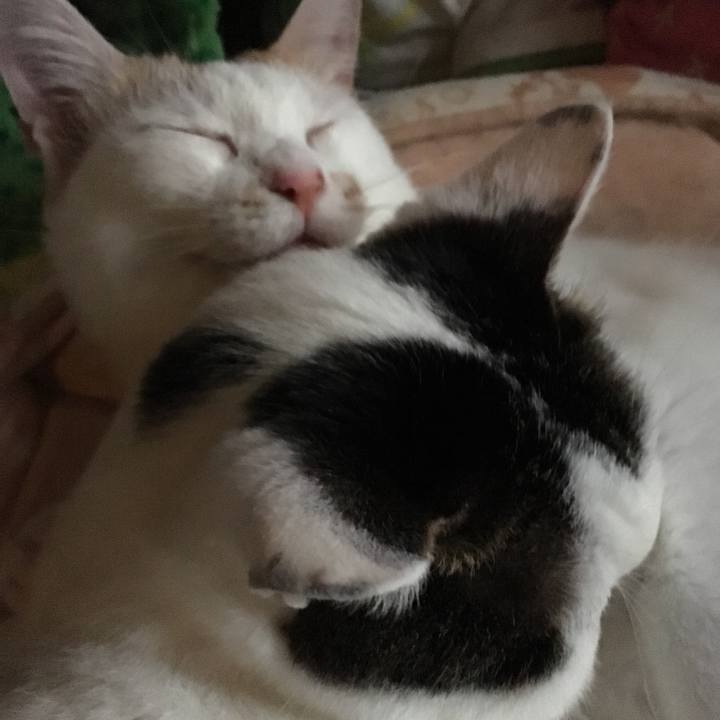 58dcfde2 dcf6 4d0a 8fba 53c8445830e8 1560582818642