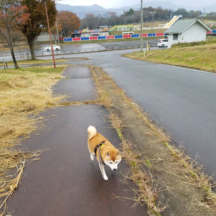 58dd1c66 8eee 4cc4 976d 2bd0391670fd 1604729379501