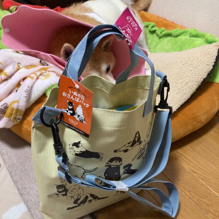 58dd231c 5161 4161 9828 7ce83c25946c 1637649139025