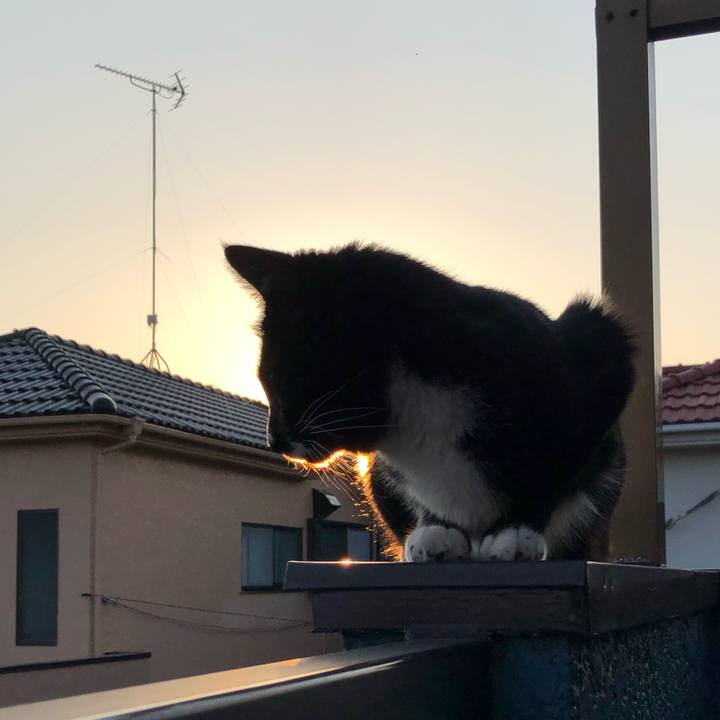 58dd3ed8 3141 4bc1 8721 0b49a82dd062 1589427827841