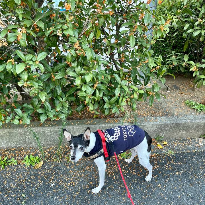 58dd7e3f e9f8 4b60 a03e 3f46ae37f62a 1636249009087