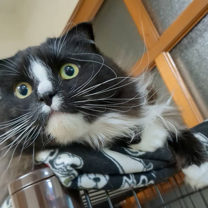 58dd89fd 69da 4a67 9f8d ec869bbea8f8 1672316534276