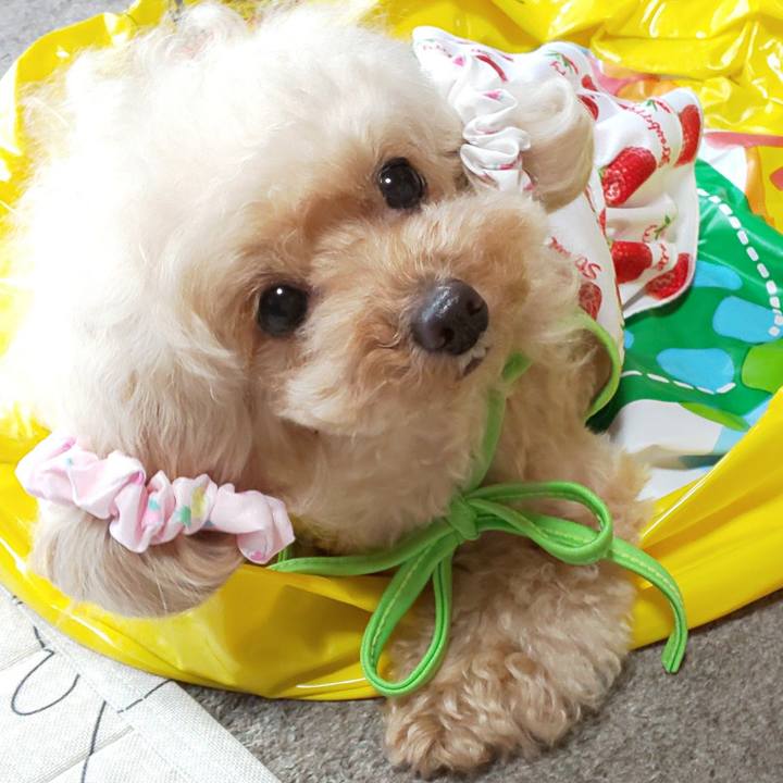 58ddb249 58b7 4503 82e7 209259062f25 1591055457638