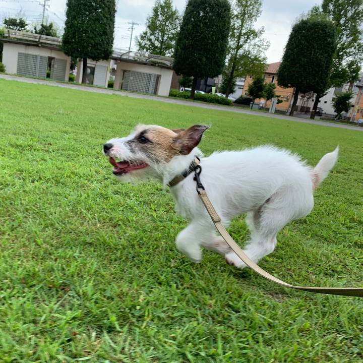 58ddd74b 40c5 4532 8446 1c50de3ce542 1565826387418