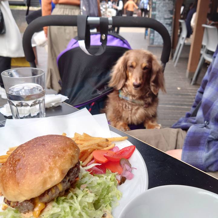 58de0680 3f1a 46ed b719 86e3ef008c89 1699245091091