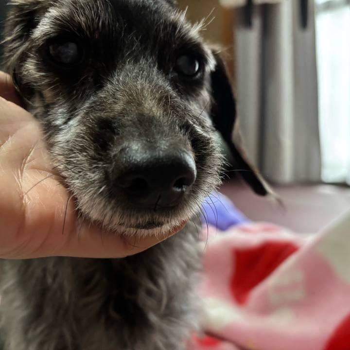 58de4fd3 bd84 4b88 84c6 9d6fd81f82b8 1763507554386