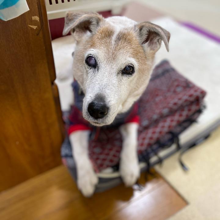 58de9fa8 7412 453c a1f8 0c0053a698ba 1674950968221