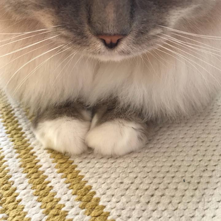 58deb53a ad6b 4a89 84ca 9fd0536dbbac 1514511499867