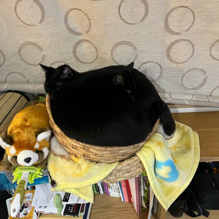 58df0055 35fb 4353 9e7e 329efff3dd47 1645276809651